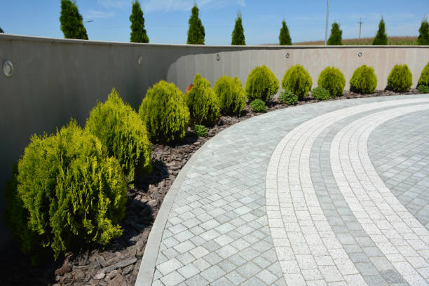 Reasons to Select Us for Your Driveway Paving Requirements in West Hazleton, PA